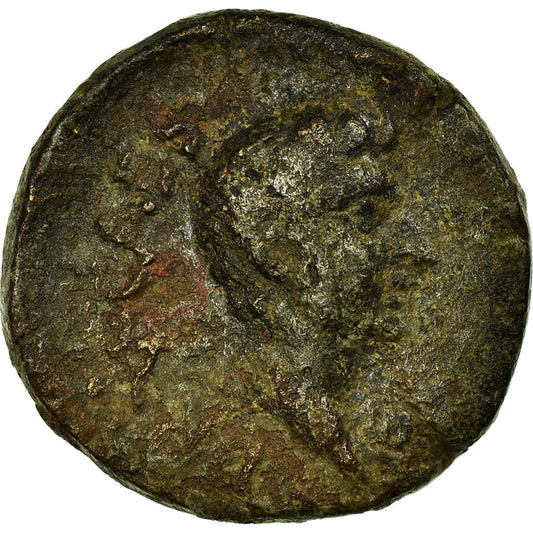 Pièce de monnaie, 
  
  Drusus, 
  
  BronzeÆ