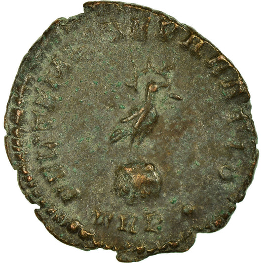Pièce de monnaie, 
  
  Constant, 
  
  Demi Maiorina