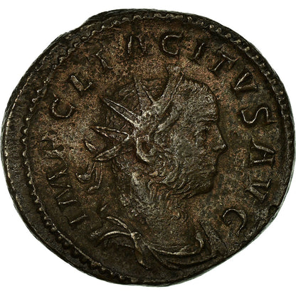 Pièce de monnaie, 
  
  Tacite, 
  
  Antoninien