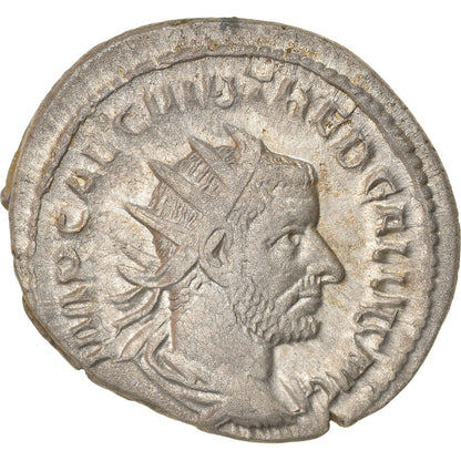 Pièce de monnaie, 
  
  Trébonien Gallus, 
  
  Antoninien