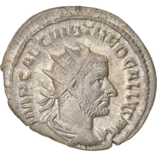 Pièce de monnaie, 
  
  Trébonien Gallus, 
  
  Antoninien