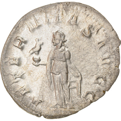 Pièce de monnaie, 
  
  Trébonien Gallus, 
  
  Antoninien