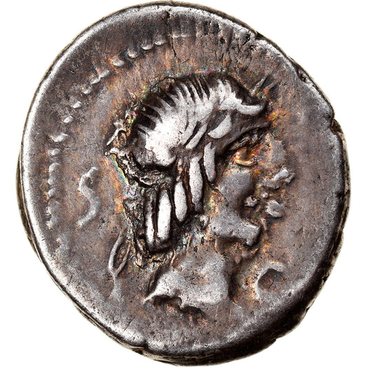 Pièce de monnaie, 
  
  Calpurnie, 
  
  Denier
