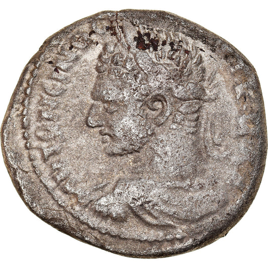 Pièce de monnaie, 
  
  Séleucis et Piérie, 
  
  Caracalla