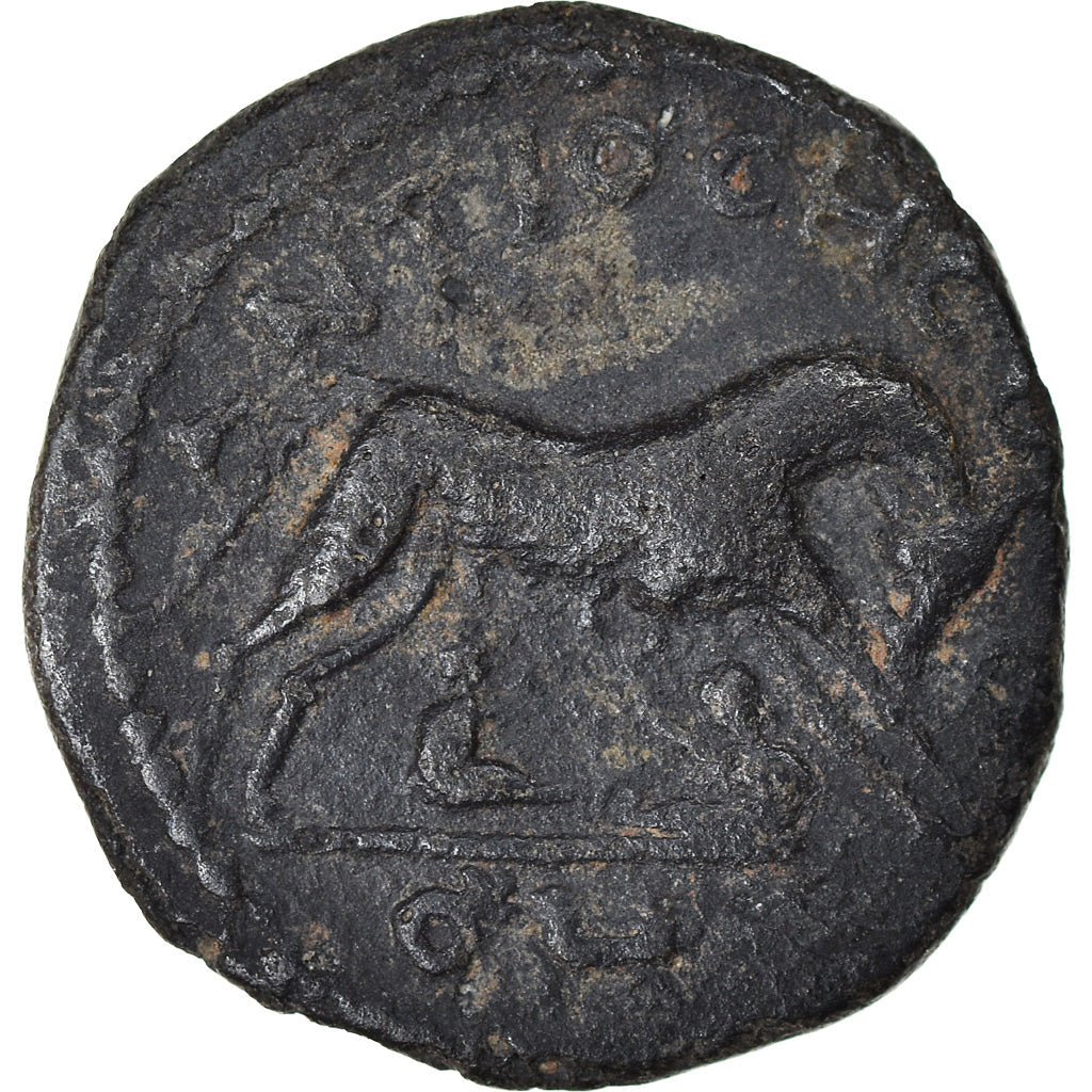 Pièce de monnaie, 
  
  Pisidie, 
  
  Sévère Alexandre