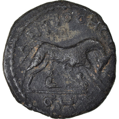 Pièce de monnaie, 
  
  Pisidie, 
  
  Sévère Alexandre