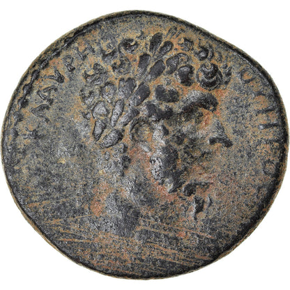 Pièce de monnaie, 

Cyrrhestica, 

Cyrrhus