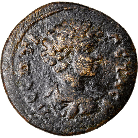 Pièce de monnaie, 
  
  Géta, 
  
  BronzeÆ